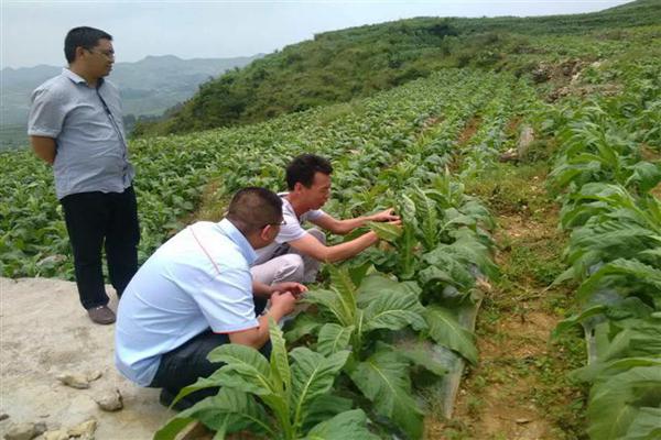 六盘水市保险行业协会